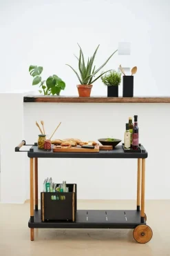 Box Opbevaringskasse fra Cane-line