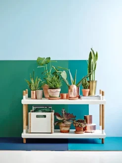 Box Opbevaringskasse fra Cane-line