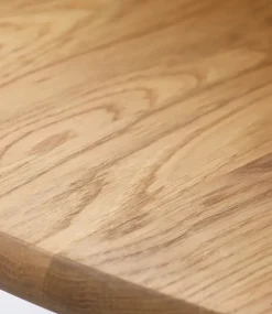 C69E Spisebord inkl. 2 tillægsplader fra FDB Møbler