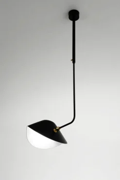 Ceiling Lamp Bookshelves Curved af Serge Mouille