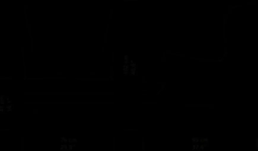 FH419 Heritage Chair af Frits Henningsen