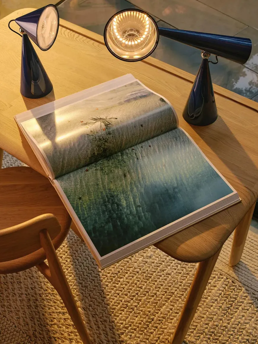 Pose Portable Bordlampe fra Tom Dixon