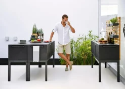 Teak Væg til Drop Hovedmodul fra Cane-line