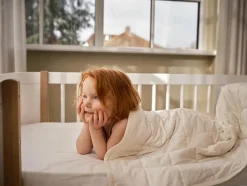 Tyngdedyne fra Moonboon